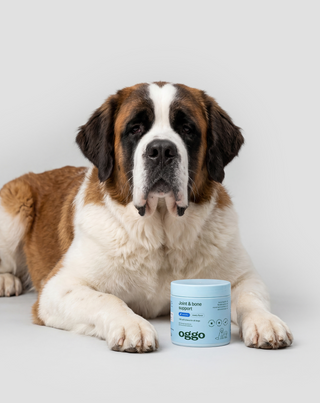 Joint & Bone Support karma suplimentară pentru câini pentru articulații și oase Oggo 180 g - 3