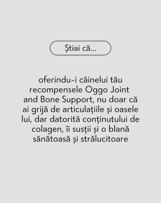 Joint & Bone Support karma suplimentară pentru câini pentru articulații și oase Oggo 180 g - 4