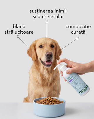 Ulei de somon 100% hrană complementară pentru câini și imunitate și energie Oggo 250 ml - 3