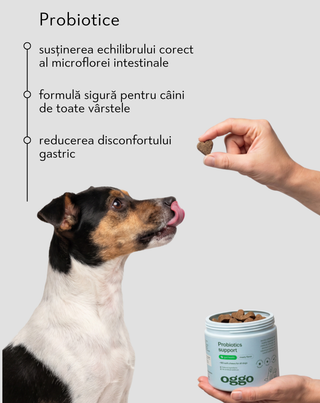 Probiotice pentru câini karma suplimentară pentru câini pentru digestie, sistem digestiv și imunitate Oggo 180 g - 2