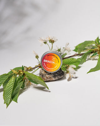 Sorbet de fructe pentru buze uscate și crăpate, cireșe, mango și mandarine Bracia Mydlarze