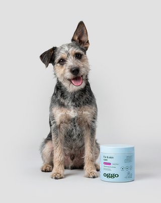 Karma Fur &amp; Skin suplimentară pentru câini pentru o blană frumoasă și o piele sănătoasă Oggo 180 g