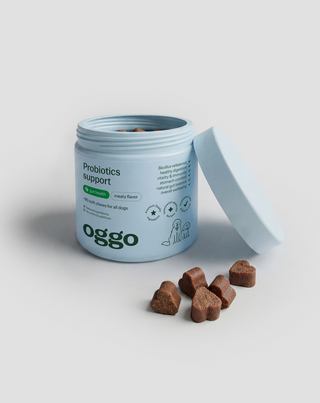 Probiotice pentru câini karma suplimentară pentru câini pentru digestie, sistem digestiv și imunitate Oggo 180 g