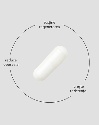 Beta-alanină 700 mg pentru performanță și reducerea oboselii musculare Nutridome, 60 de capsule - 2